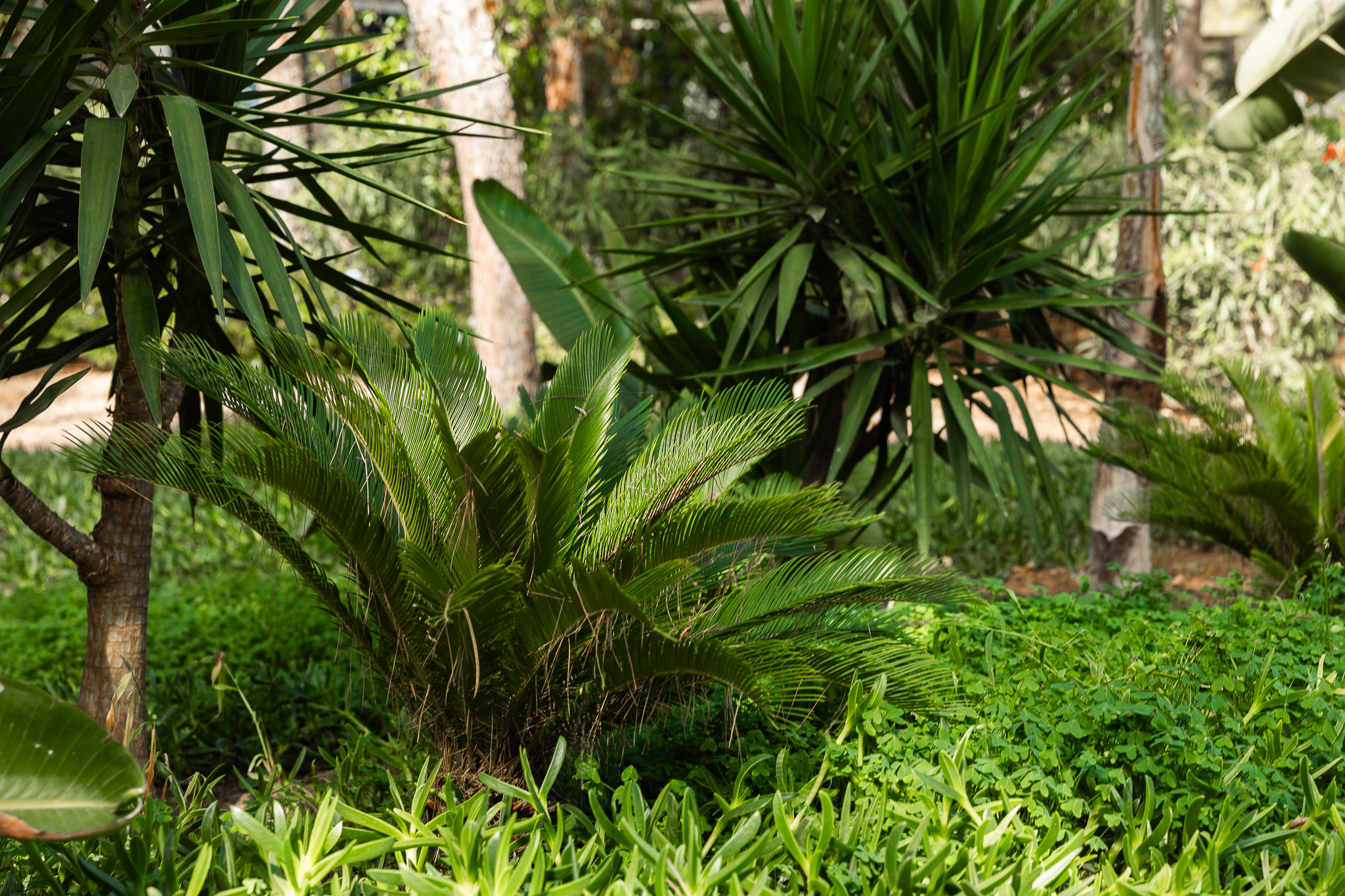 Portfolio image 14