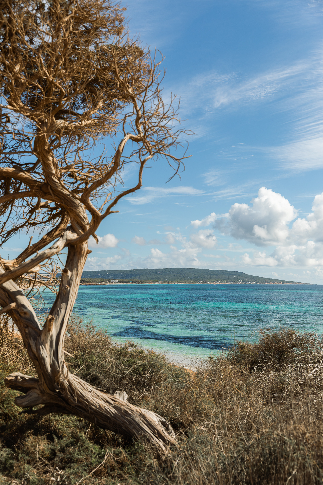 Portfolio image 17